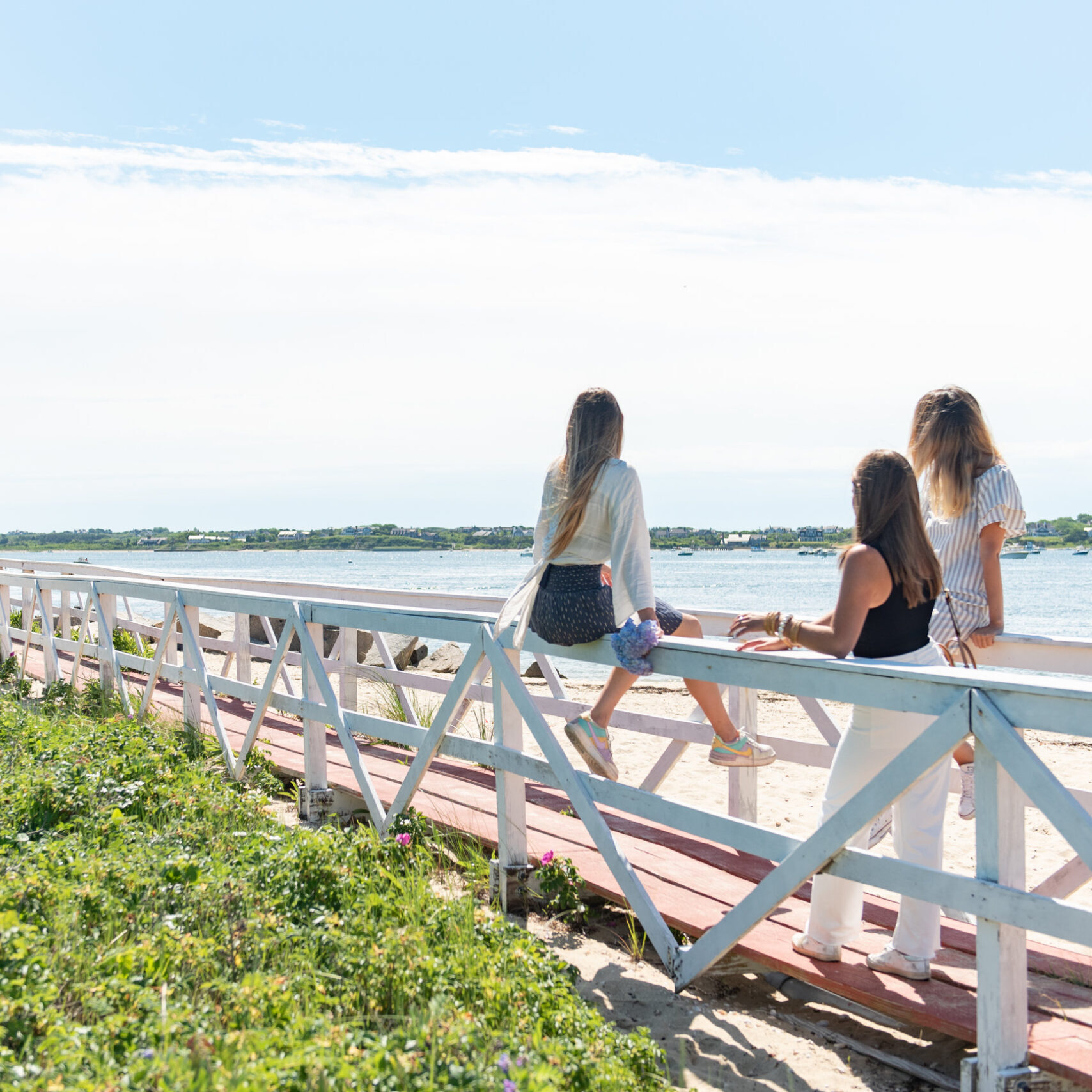 Sitting on the fence by the beach